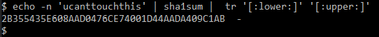 echo_SHA1_upper_img